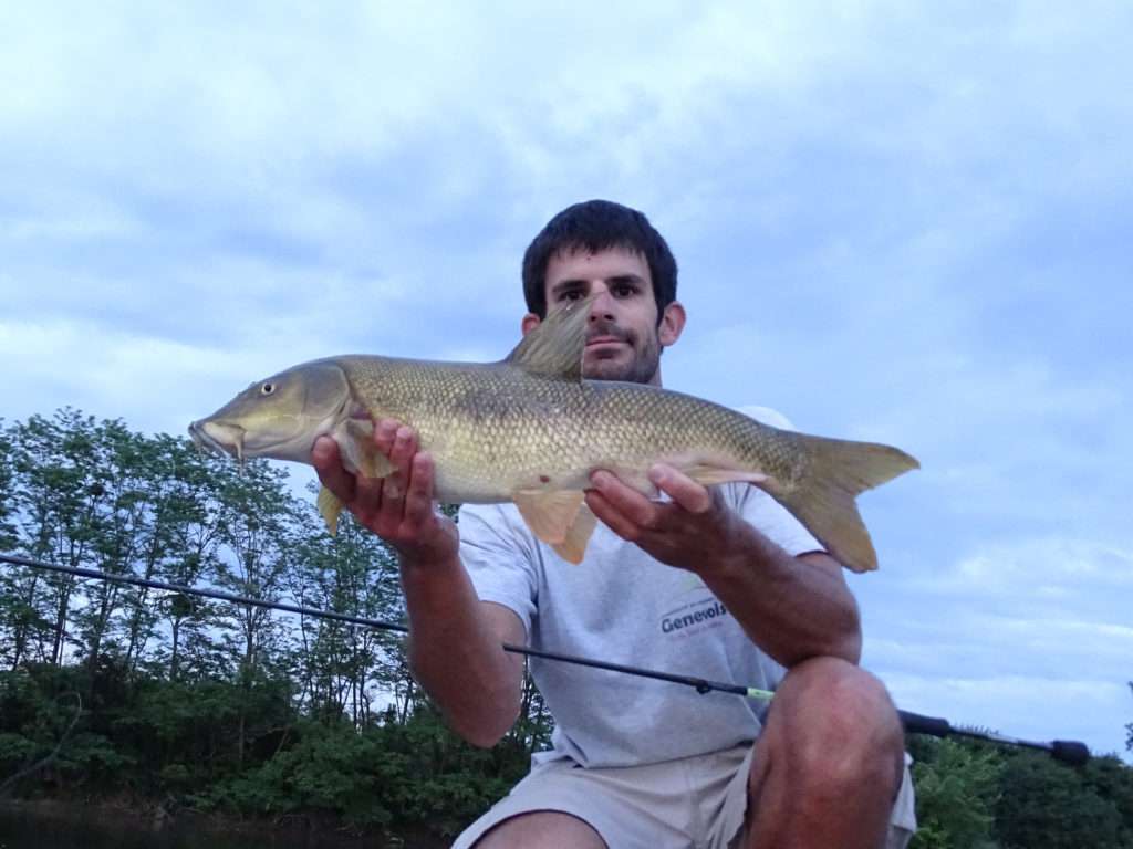 Barbeau pris par Etienne au Crappie Dapper