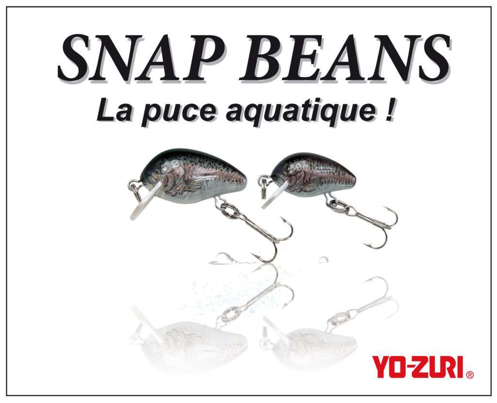 Snap Beans : la puce aquatique !