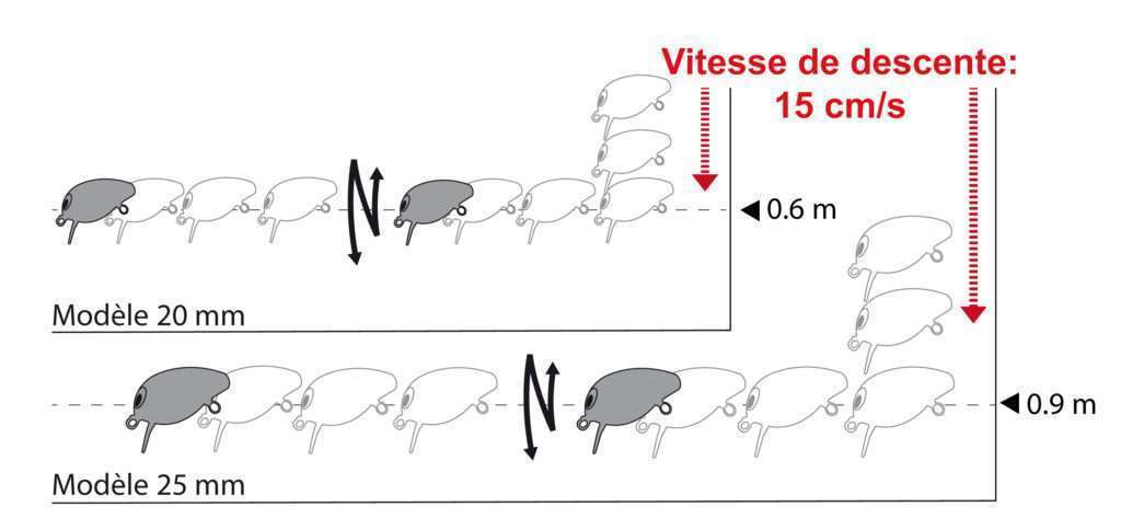 Nage du Snap Beans