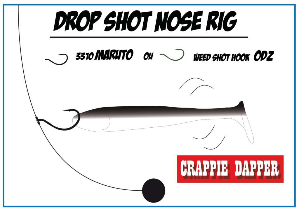 Crappie Dapper en drop shot nose rig