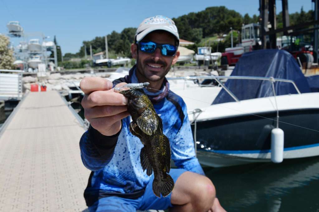 …et qui fait un magnifique gobie en moins de 2 mn au Crappie Dapper !