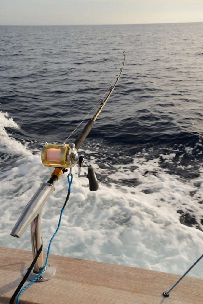 La coryphène peut être pêché en traîne hauturière à grandes distances des cotes