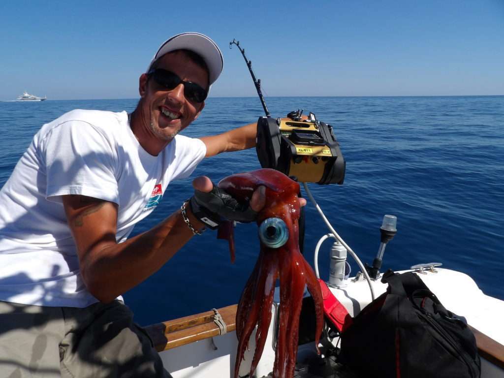 De jour et même en plein été, il est possible de pêcher les calamars rouges ! 