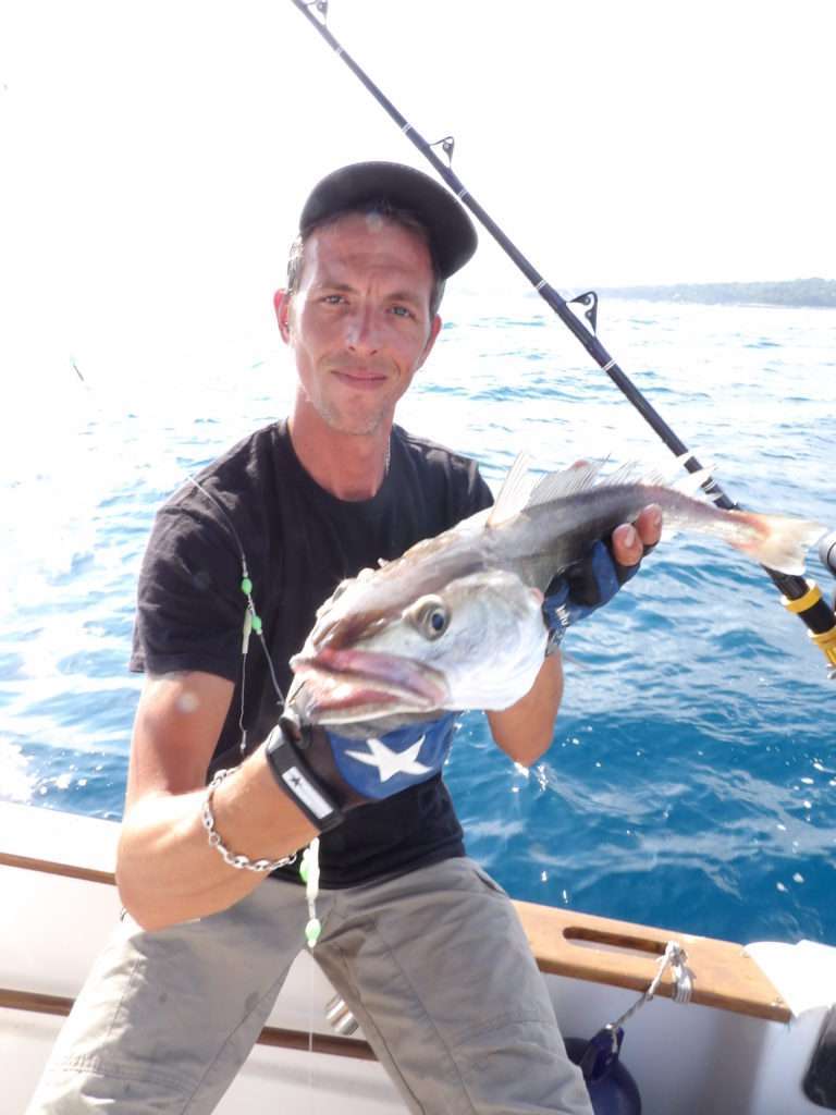 Les tentacules de calamars sont d'excellents appâts pour les pêches profondes! 