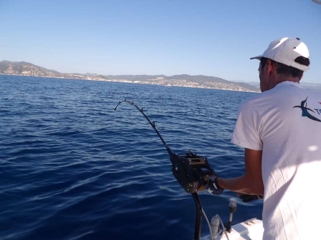 Les calamars rouges opposent une féroce résistance ! 