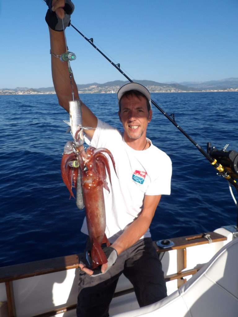 Beau spécimen de calamar rouge pris par Fabien Harbers par 600 m de fonds