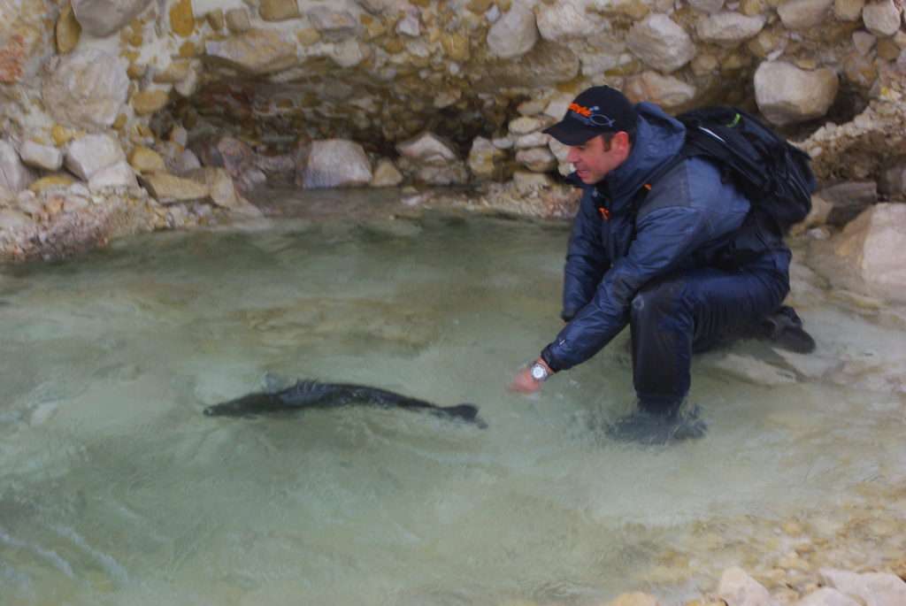 Un fish grip bien manipulé permet une excellente relâche !