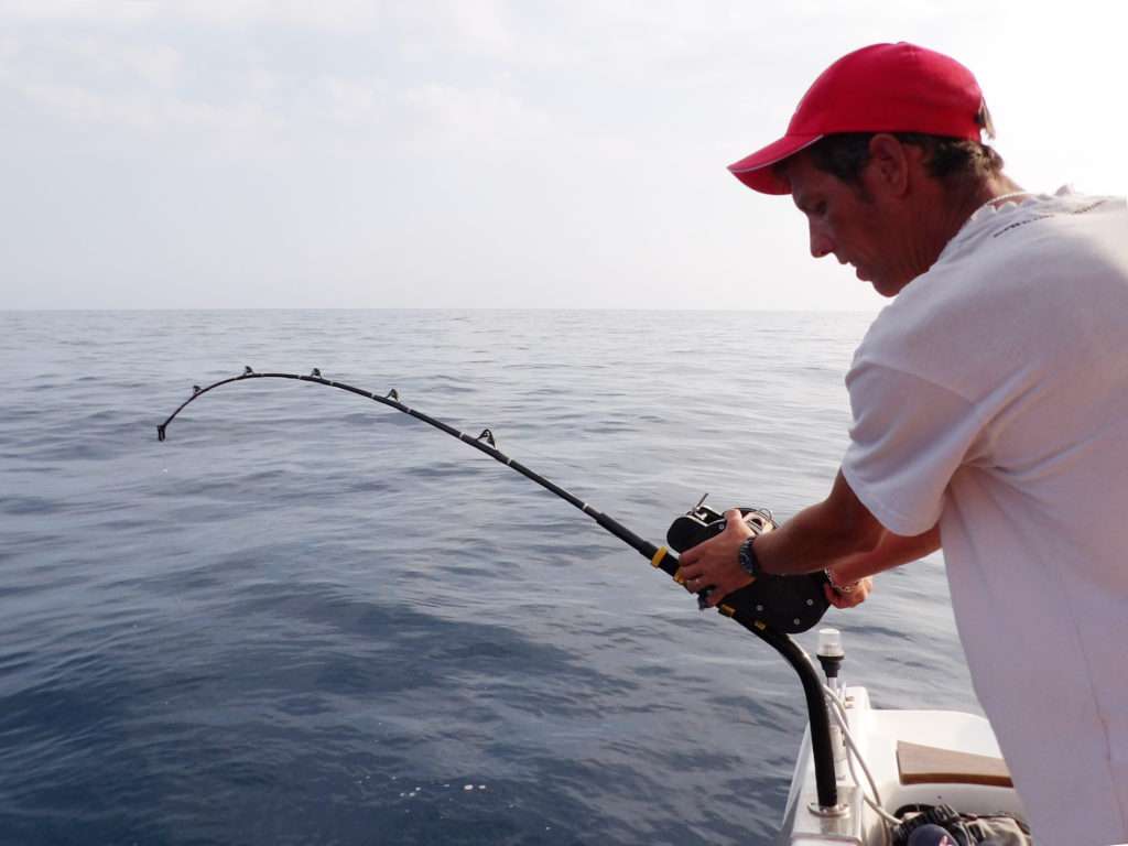 Pêcher au vif avec un calamar rouge peut reserver des surprises !