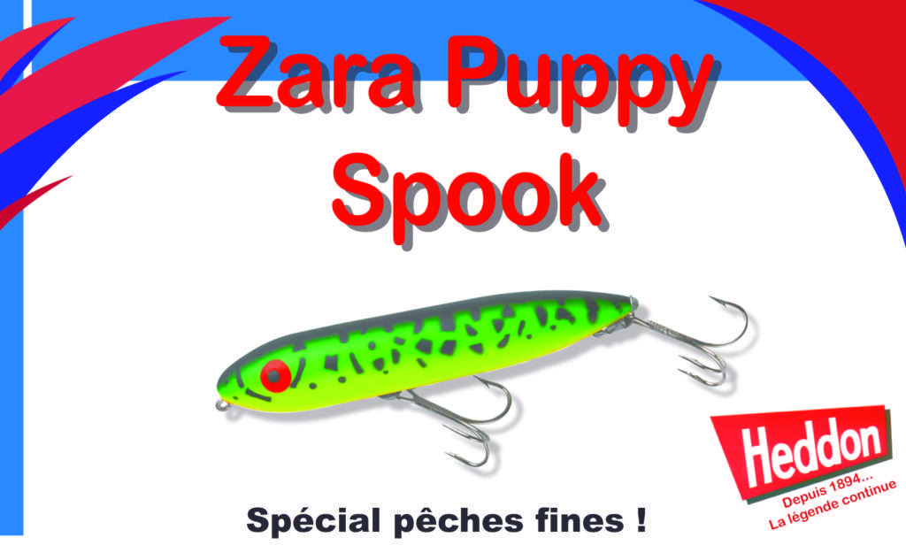 Zara Puppy Spook Heddon
