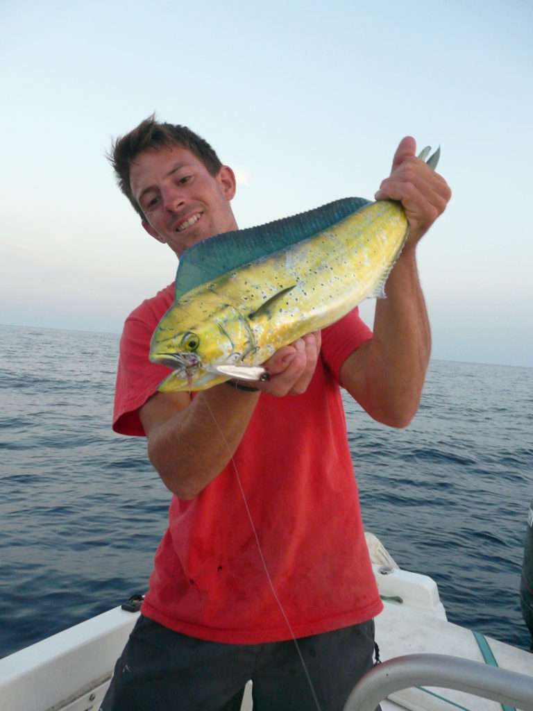 Une coryphène au popper est un magnifique coup de ligne pour un pêcheur