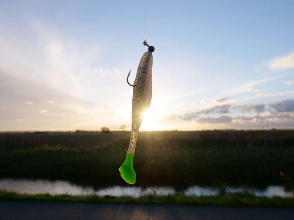 Une petite plombée montée sur le Sea Shad permettra de pêcher les zones de faibles fonds