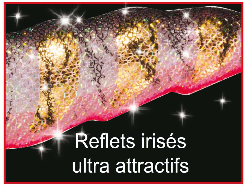 Des coloris aux reflets irisés ultra attractifs