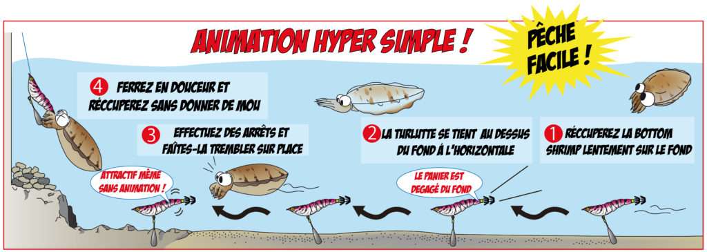 Animation hyper simple de la Bottom Shrimp