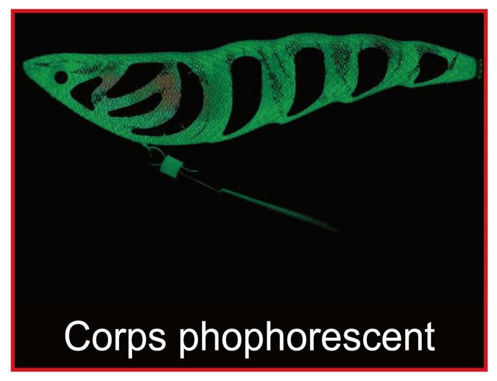 Le corps de la Bottom Shrimp est phosphorescent