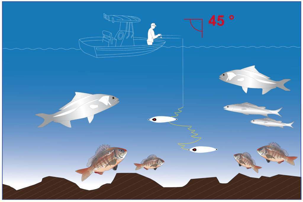 Le Meiji est très efficace manié à la verticale en light slow jigging