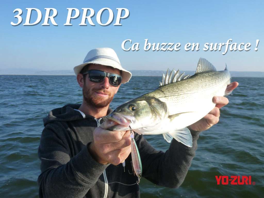 3DR Prop : ca buzze en surface !