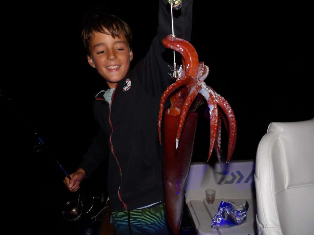 Joli calamar rouge pris par ce jeune pêcheur avec une turlutte aiguille dotée d’une lampe Flash Diamond !