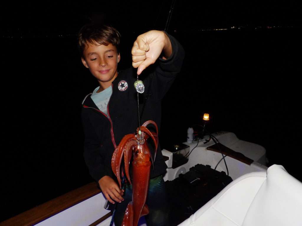 La pêche des calamars rouge avec une turlutte aiguille plombée et une lampe Flash Diamond est un jeu d’enfant !