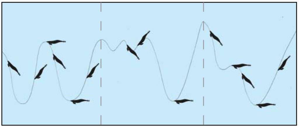 Comment choisir ses turluttes pour le bord ? - Blog Flashmer