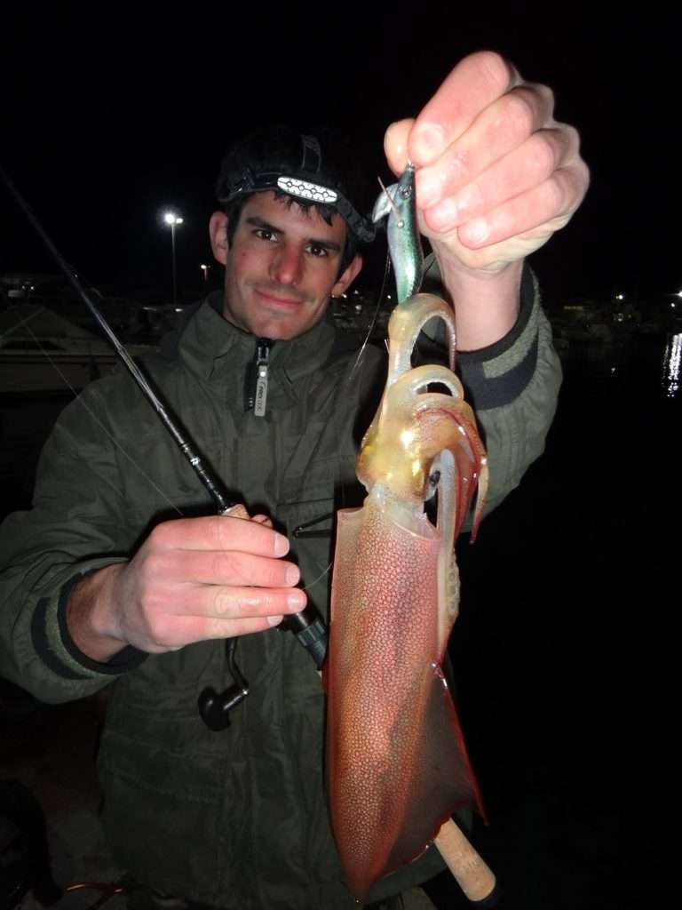 Même avec des petits modèles d’Aurie-Q RS, il est possible de faire de beaux calamars ! 