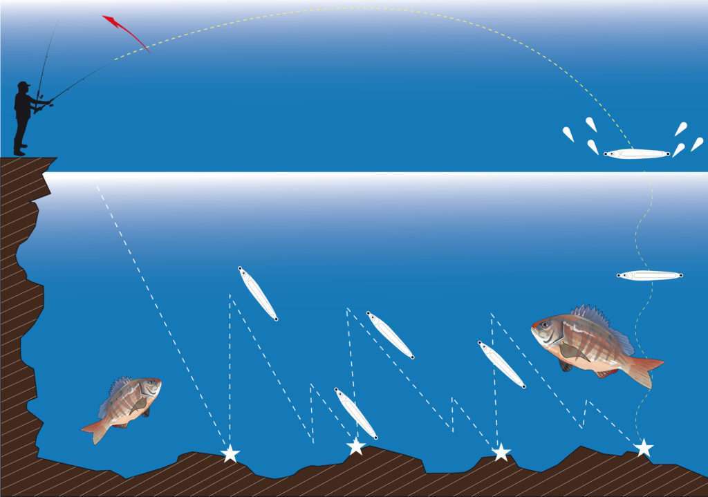 Shore jigging à proximité du fond avec la Cuiller Anchois L-Jack