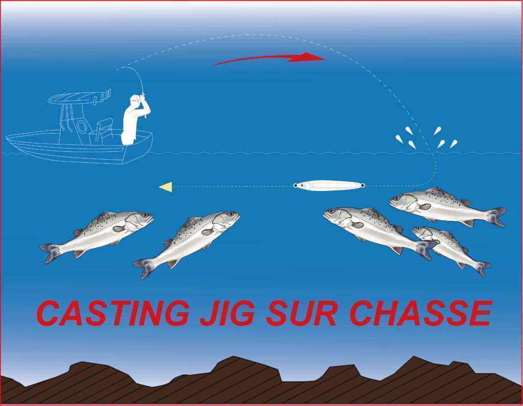 La Cuiller Anchois L-Jack est ultra efficace sur les chasses