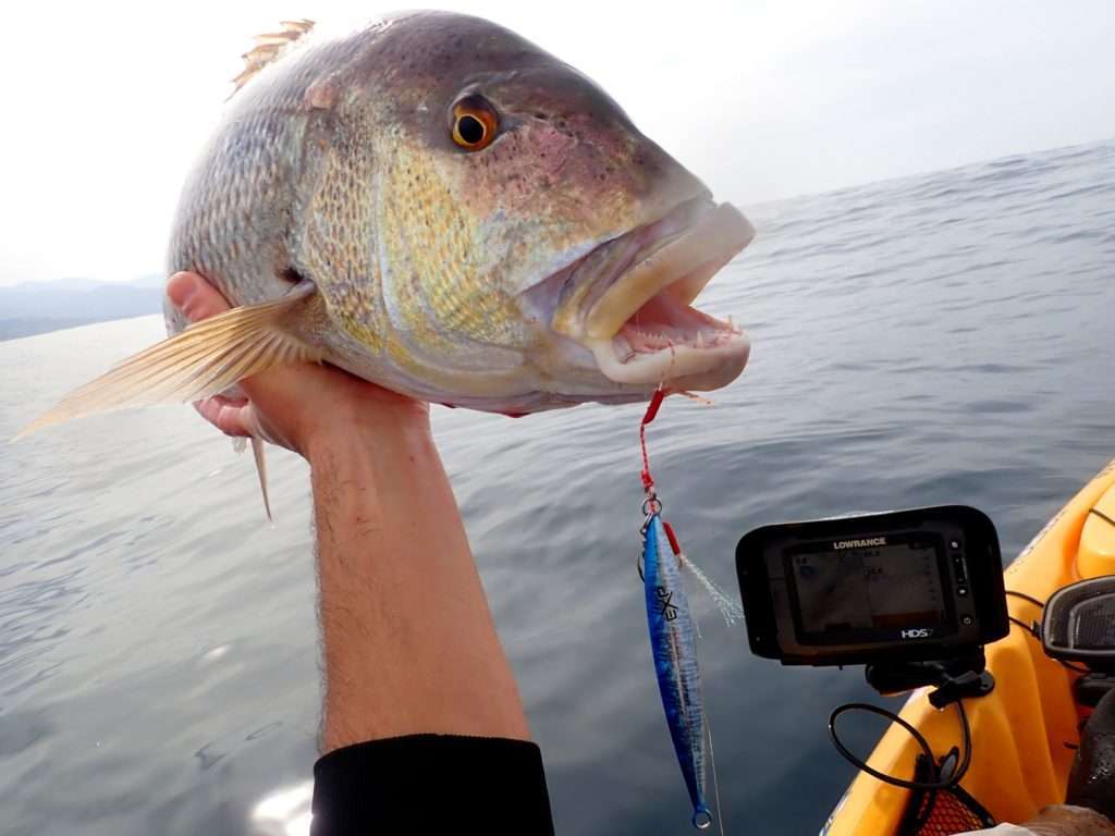 Le Jidai Explorer Tackle est très efficace manié à la verticale en light jigging