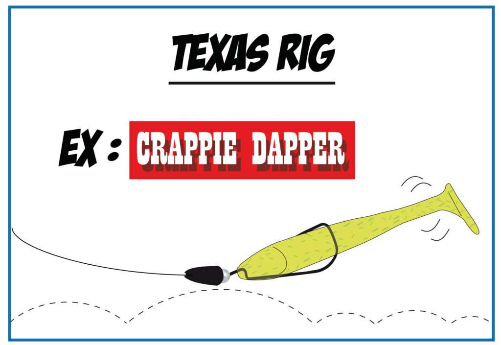 Crappie Dapper monté en texas rig