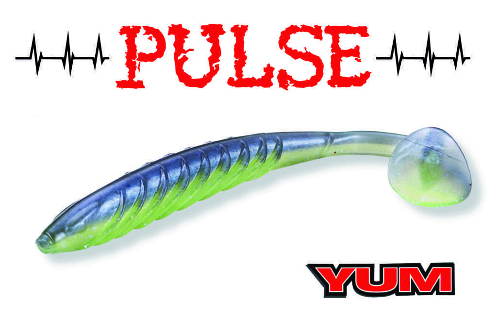 Le Pulse Yum : vibrez au rythme de ses pulsations ! 