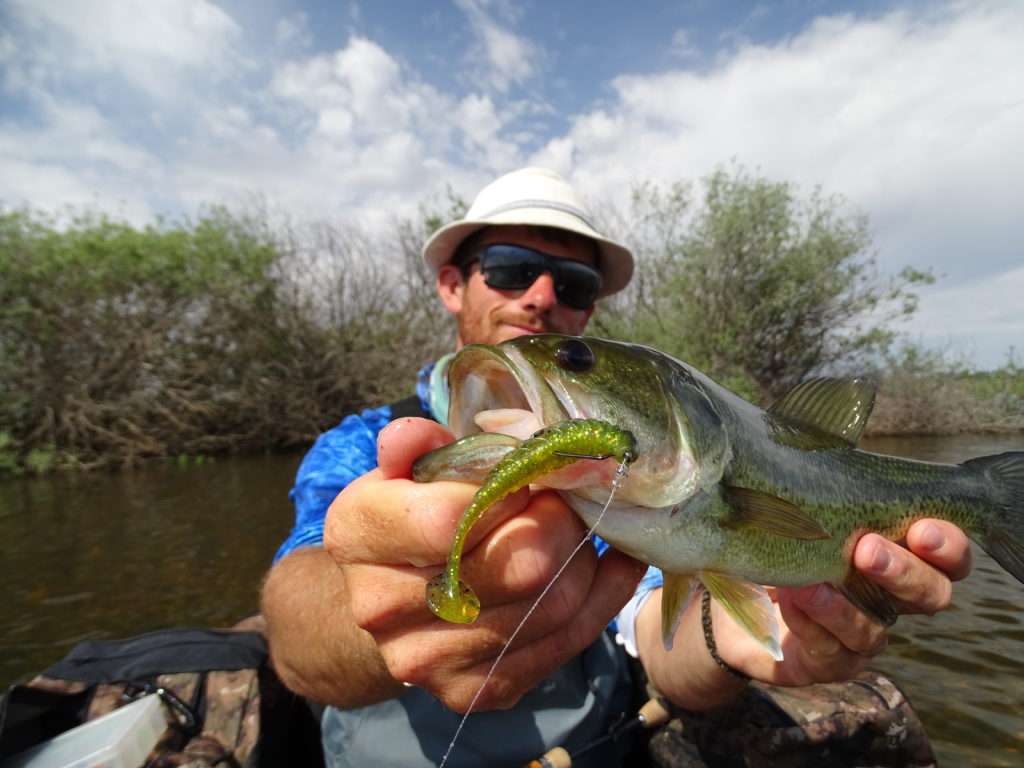 Bass pris par Colin Goletto au Pulse Yum 90 mm en float tube