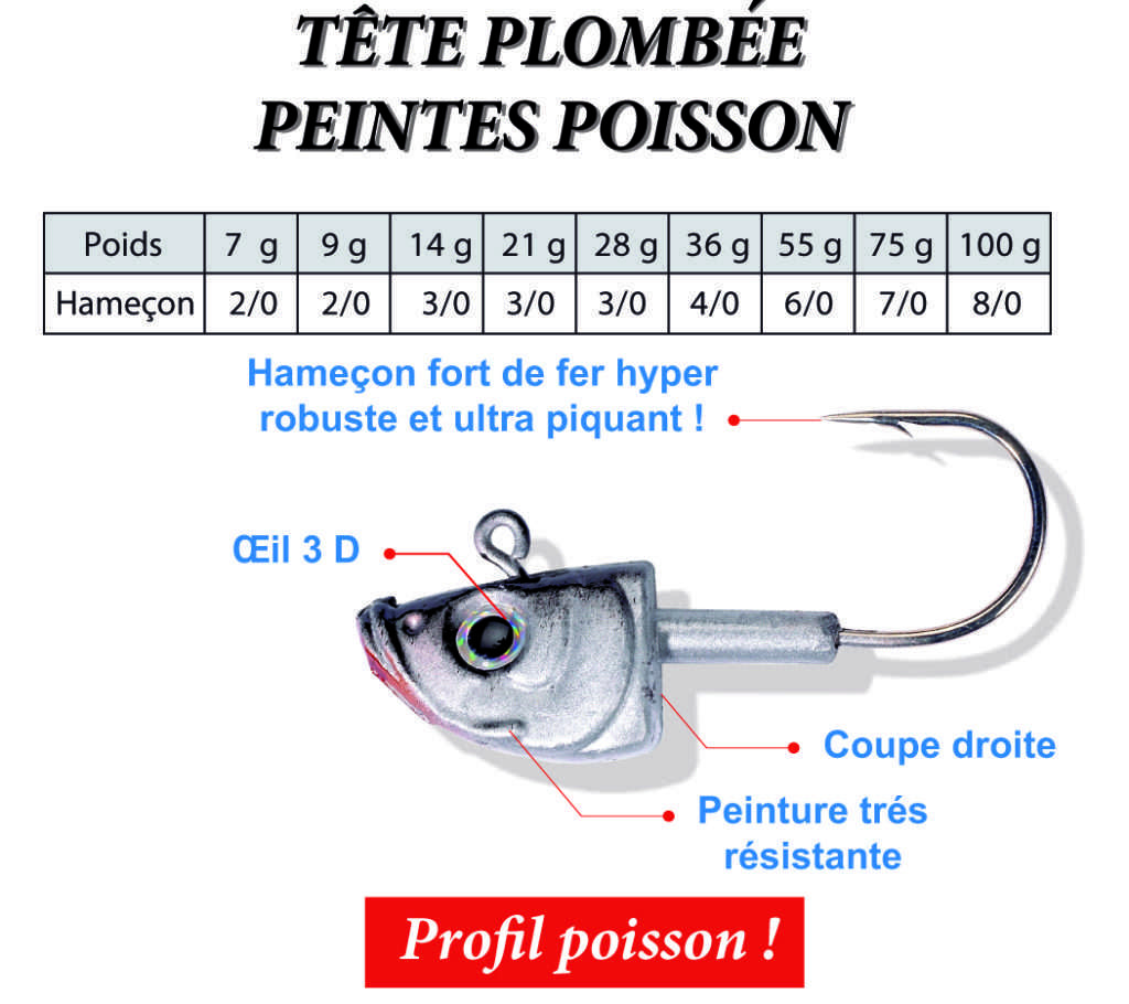 Tête plombée peinte poisson Flashmer