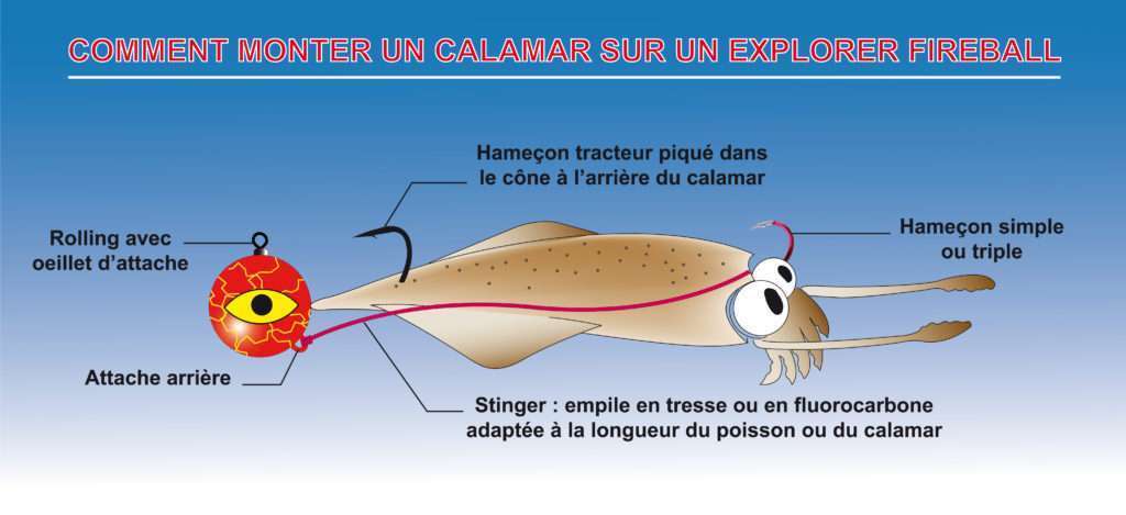 Guide étape Par étape Pour Monter Un Hameçon En Toute Simplicité