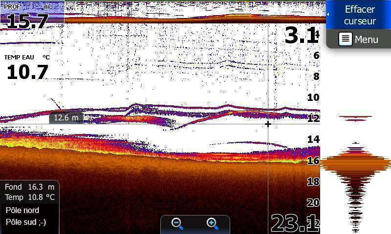 Au sondeur, on voit bien le fireball et les arcs formés par les poissons
