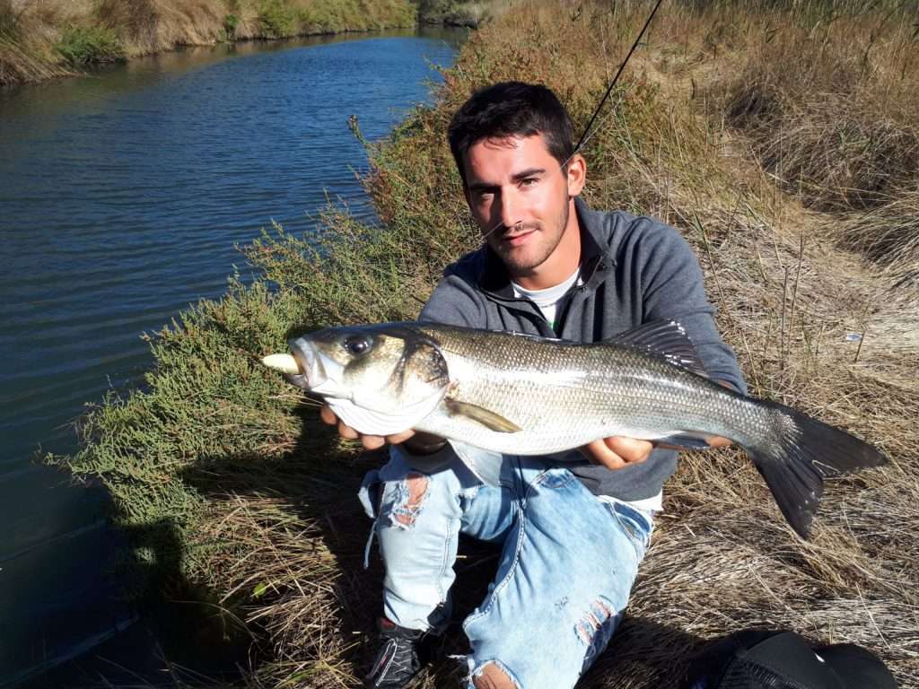 Joli bar pris au Super Spook dans un canal attenant à un étang marin