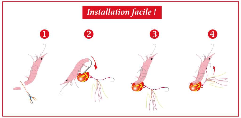 Comment installer une gambas sur votre tenya