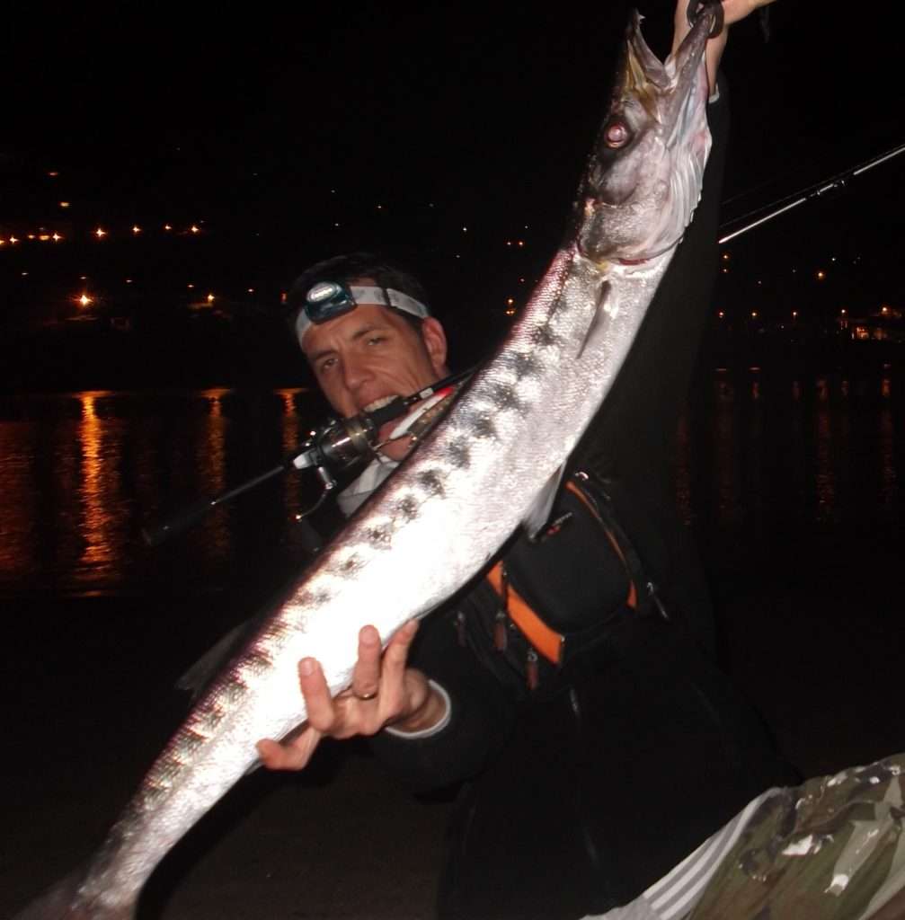 Magnifique barracuda pris de nuit au Super Spook blanc / tête rouge