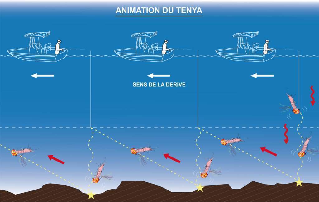 Animation du tenya