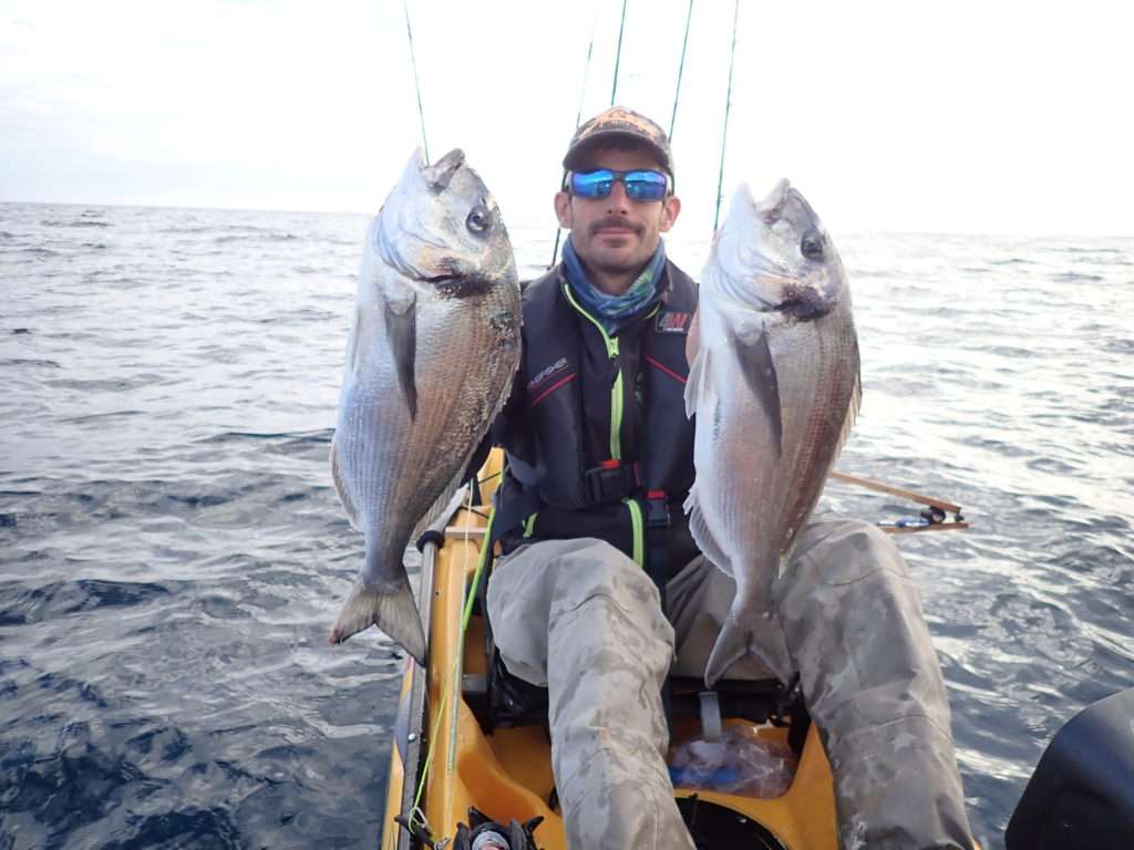 Deux superbes daurades royales prises au tenya Explorer Tackle pour Etienne ! 