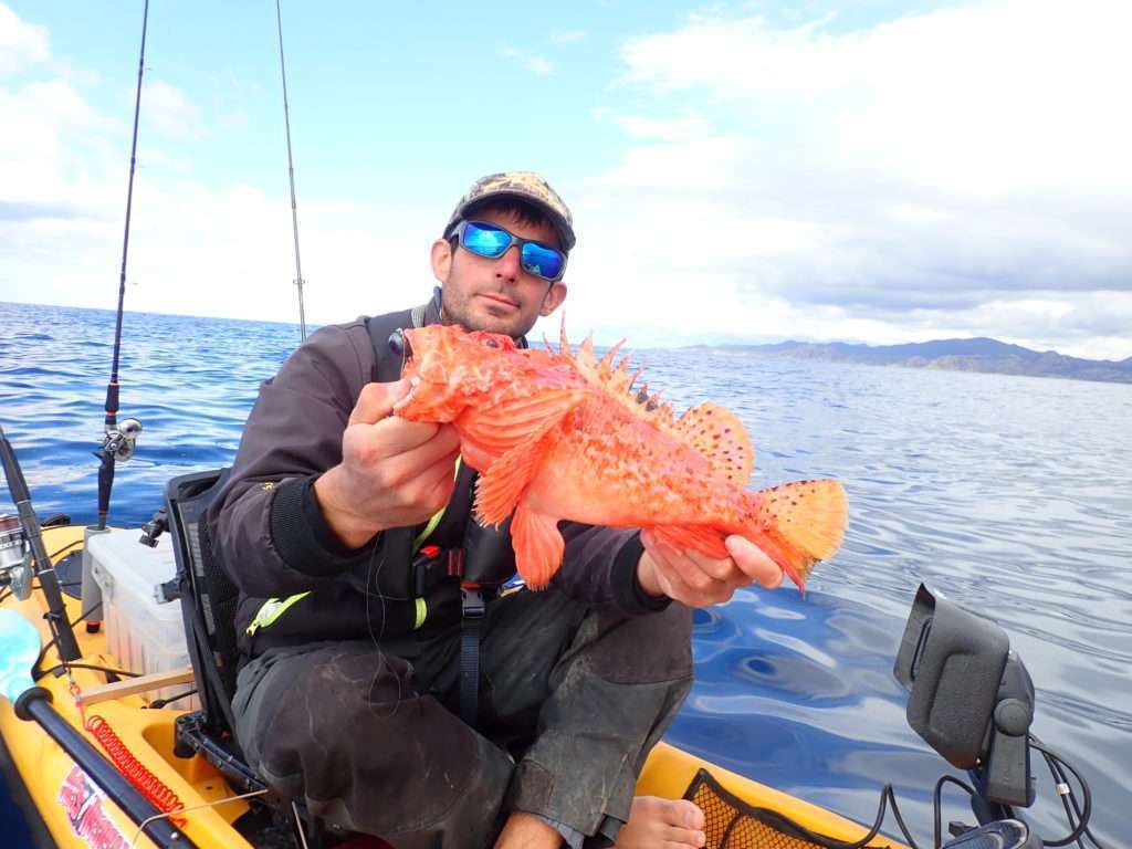 Superbe chapon touché à l’Explorer Deep Explorer Tackle par Etienne