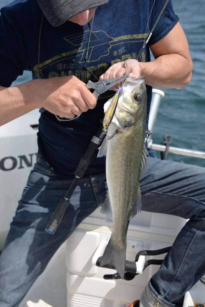 Une bonne pince permet d’enlever simplement un triple pour une relâche rapide