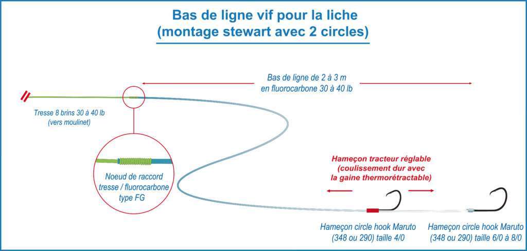 Bas de ligne pour la liche avec 2 circle hooks Maruto