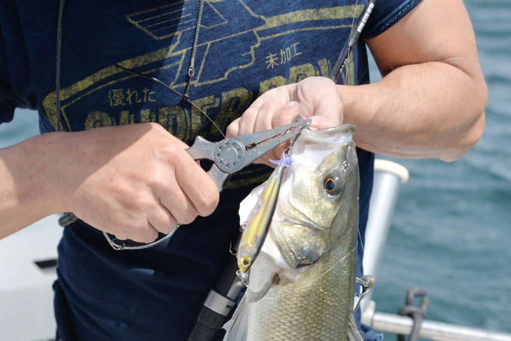 Une pince permet d’enlever proprement et simplement un hameçon de la gueule d’un poisson