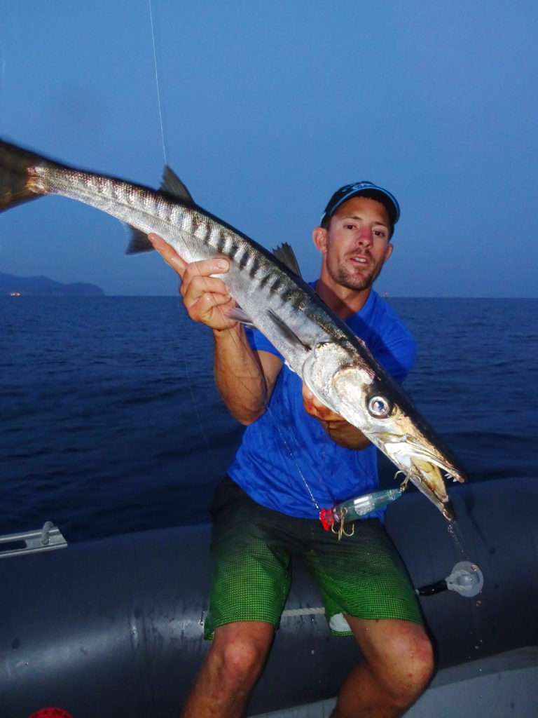 Un barracuda méditerranéen de cette taille est une prise exceptionnelle ! 