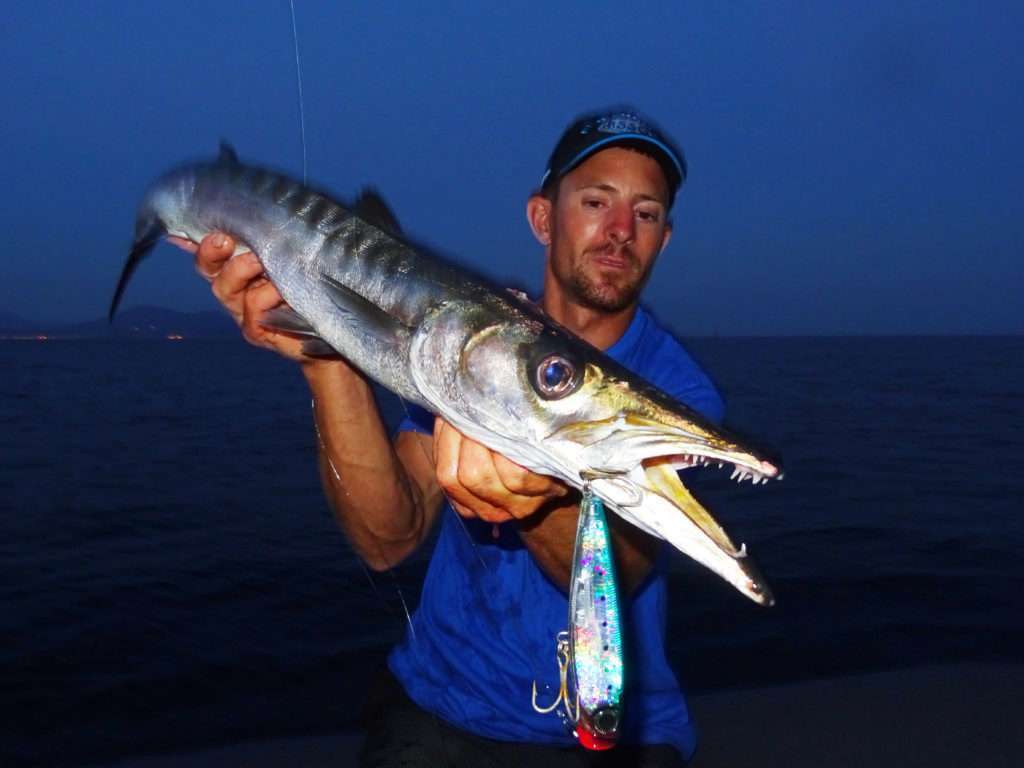 Un barracuda méditerranéen de cette taille est une prise exceptionnelle ! 