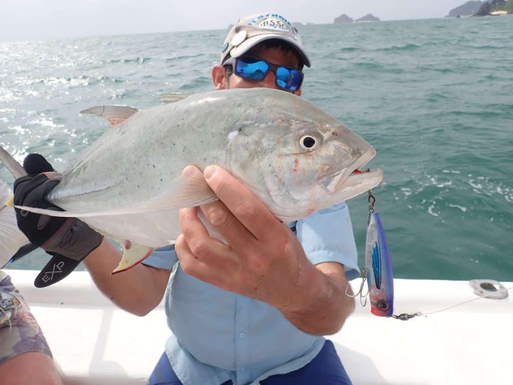 Une autre carangue pris par Etienne au 3D Popper Yo-Zuri à Madagascar ! 