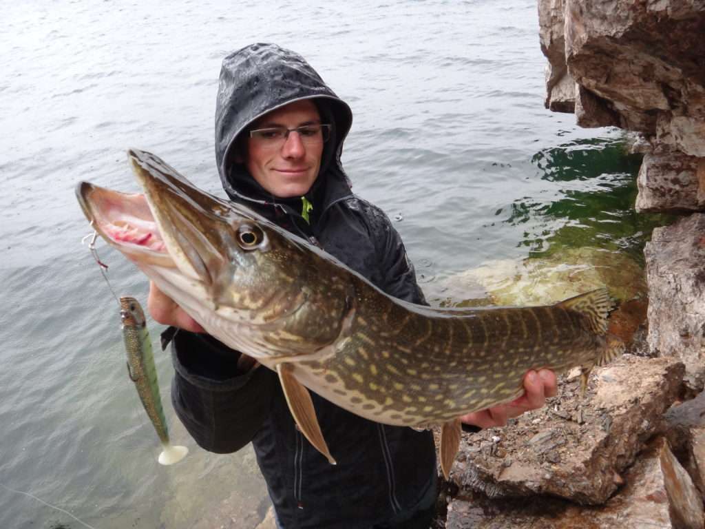 Un stinger optimise votre ferrage lors de l'attaque d'un brochet