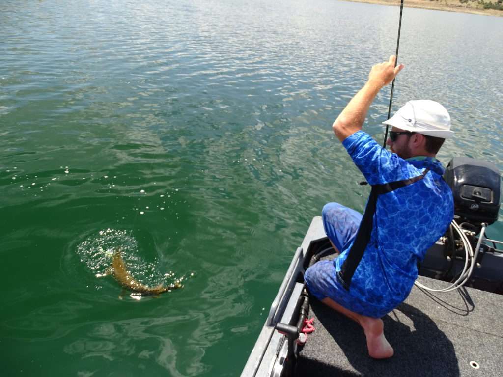 Gros combat de Colin avec un beau brochet pris au shad à palette !