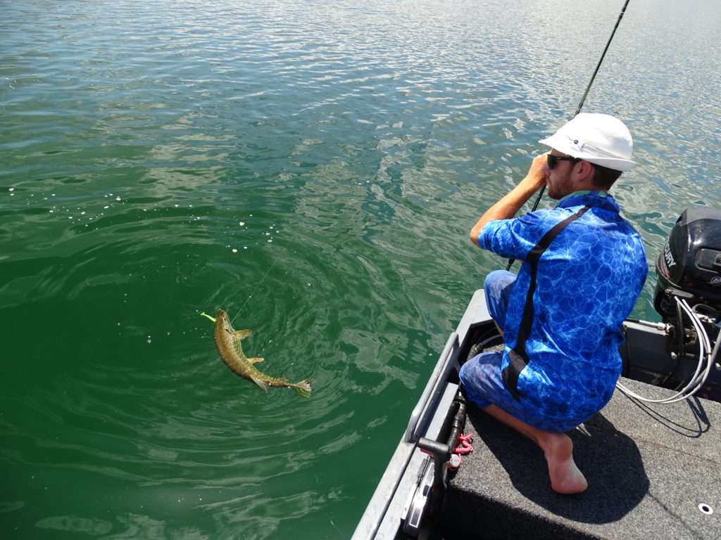 Gros combat de Colin avec un beau brochet pris au shad à palette !