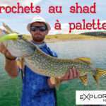 Brochets au shad à palette !