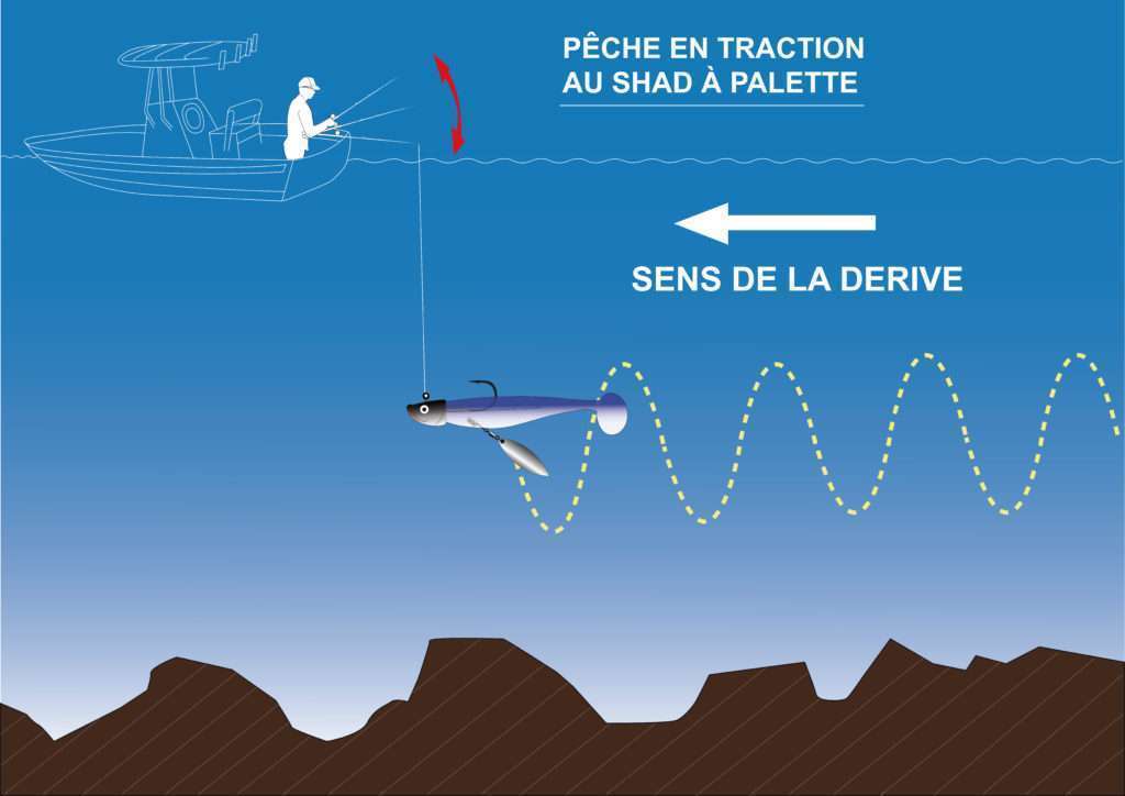 Pêche en traction au shad à palette (Shaker avec une Quick Willow sous le ventre)